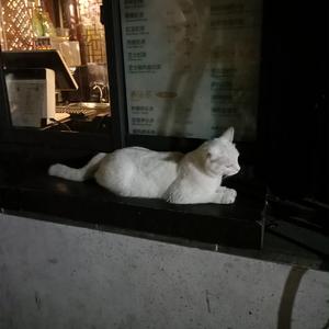 国产激情对白一区二区三区四
